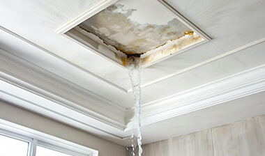 Persistent-Roof-Leaks-image